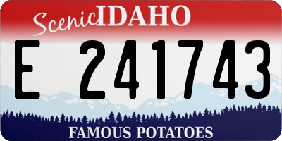 ID license plate E241743