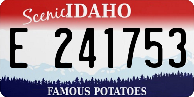 ID license plate E241753