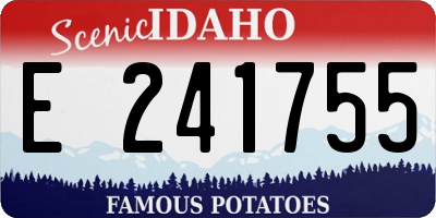 ID license plate E241755