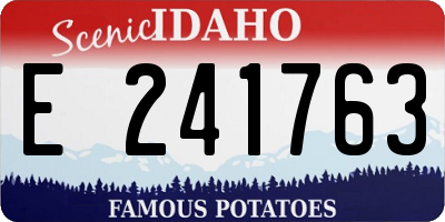 ID license plate E241763