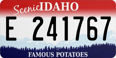 ID license plate E241767