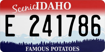 ID license plate E241786
