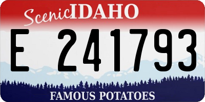 ID license plate E241793