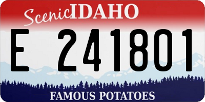 ID license plate E241801