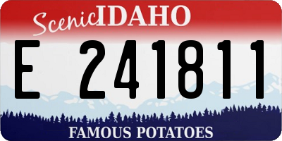 ID license plate E241811
