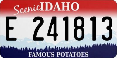 ID license plate E241813