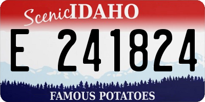 ID license plate E241824