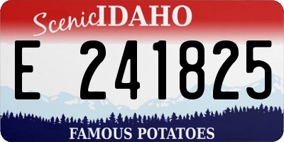 ID license plate E241825