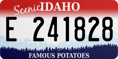 ID license plate E241828