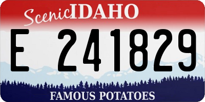 ID license plate E241829