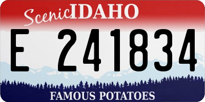 ID license plate E241834