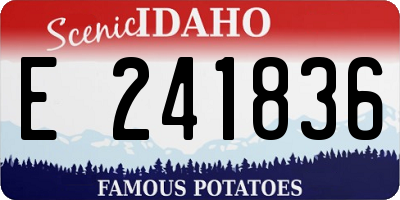 ID license plate E241836