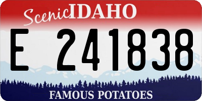 ID license plate E241838