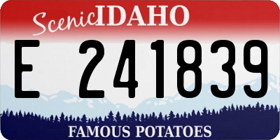 ID license plate E241839