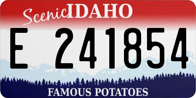 ID license plate E241854