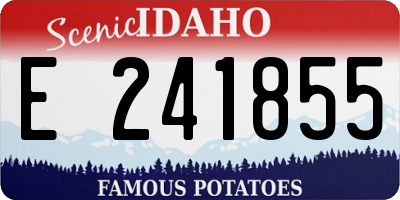 ID license plate E241855