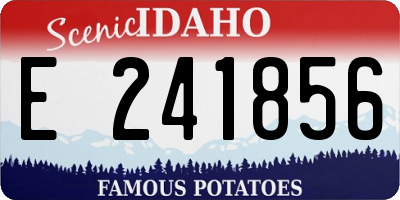 ID license plate E241856
