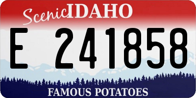 ID license plate E241858