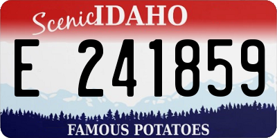 ID license plate E241859