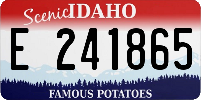 ID license plate E241865