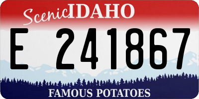 ID license plate E241867