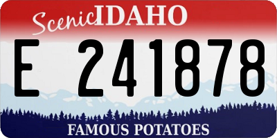 ID license plate E241878