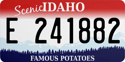 ID license plate E241882