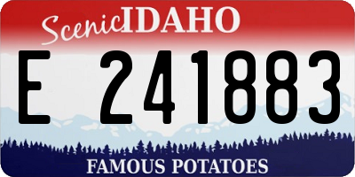 ID license plate E241883