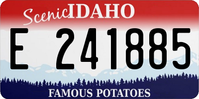ID license plate E241885