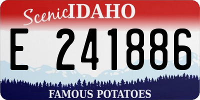 ID license plate E241886