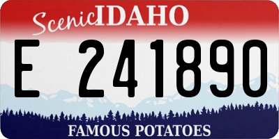 ID license plate E241890