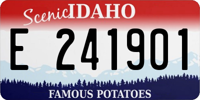 ID license plate E241901