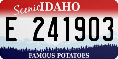 ID license plate E241903