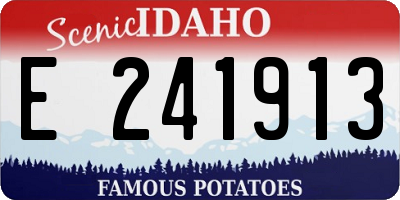 ID license plate E241913