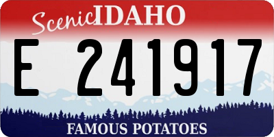 ID license plate E241917