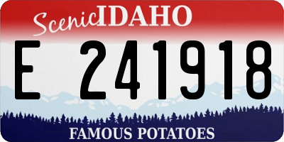 ID license plate E241918