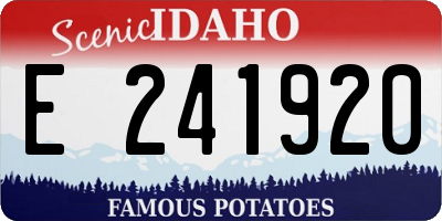 ID license plate E241920