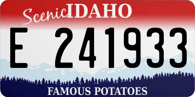 ID license plate E241933