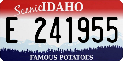 ID license plate E241955
