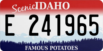 ID license plate E241965