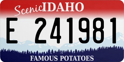ID license plate E241981
