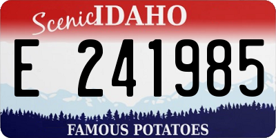 ID license plate E241985