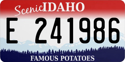 ID license plate E241986