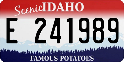 ID license plate E241989