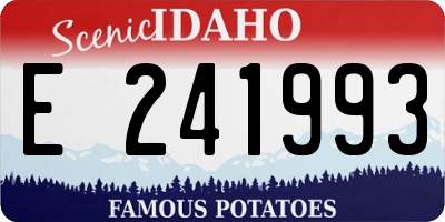 ID license plate E241993