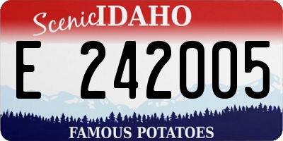 ID license plate E242005