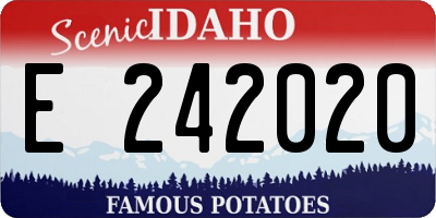 ID license plate E242020