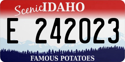ID license plate E242023