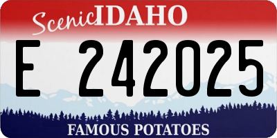 ID license plate E242025