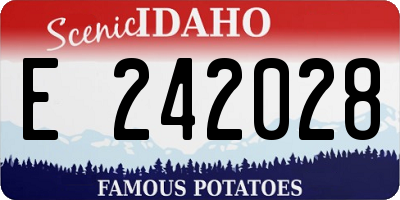 ID license plate E242028